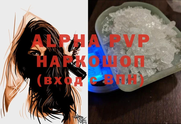 прущие грибы Ивантеевка