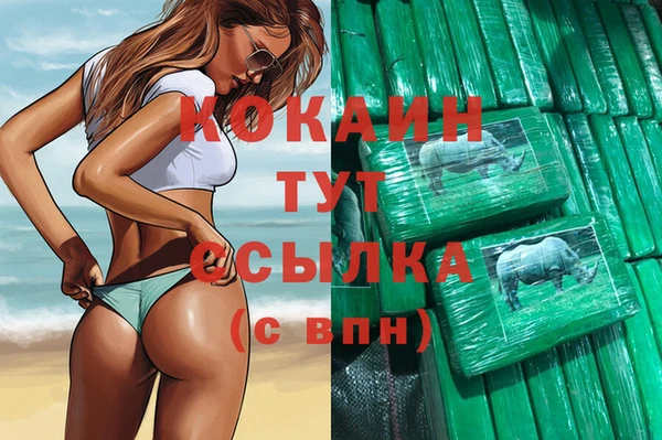 сатива Нягань