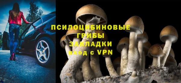 сатива Нягань