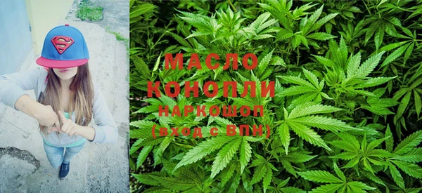 мет Няндома
