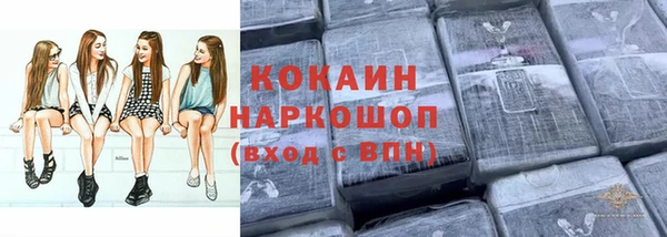 сатива Нягань